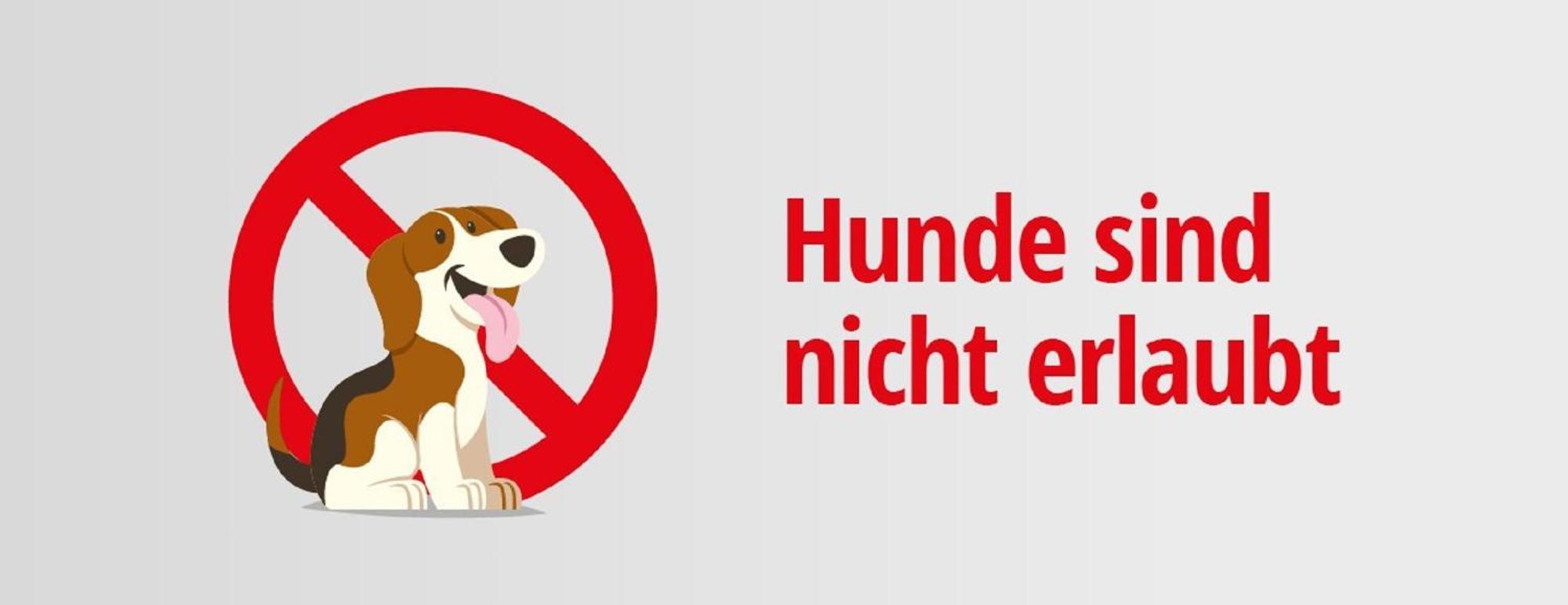 Pension Seecafe Zarrentin am Schaalsee Bilik gambar